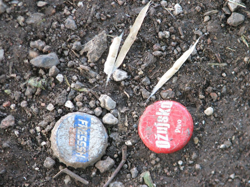 Prilog znanstvenoj analizi potrošnje piva na zelenim površinama grada Zagreba