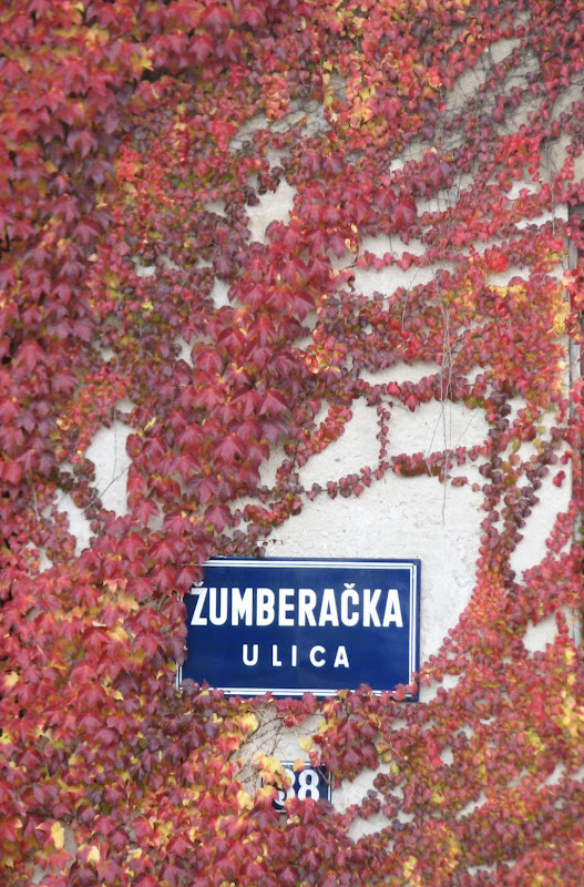 Jesen je ispunila Žumberačku ulicu