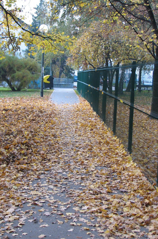 Š ššš šš šššššš šššš šš ššš šššššš