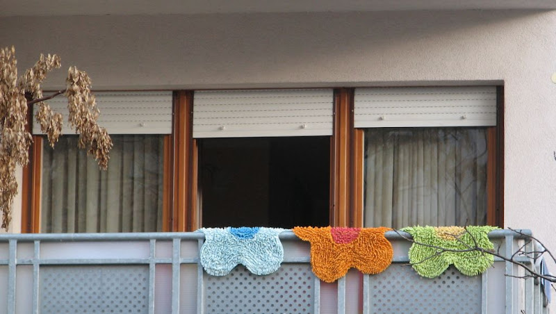 Umjesto lijehe sa pelargonijama