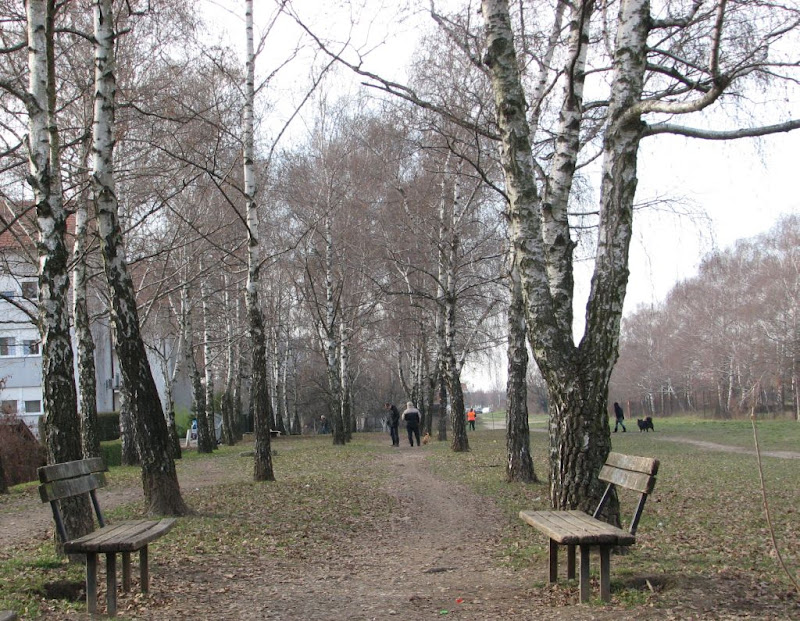 Uljezi u breziku … ili kako i najbolja namjera nije uvijek najbolja