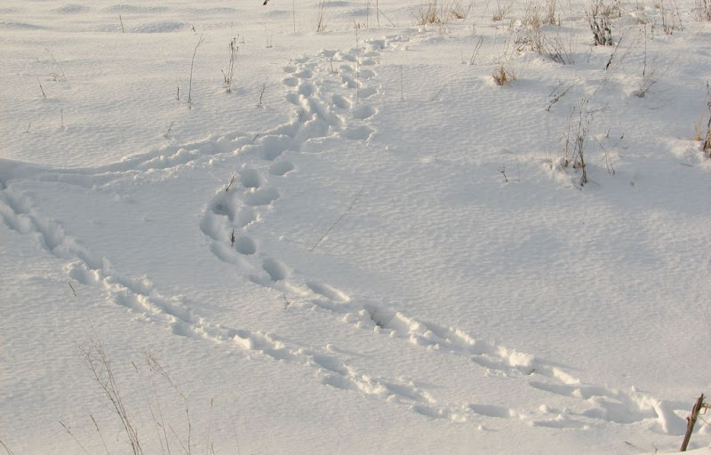Zima je kao čokolada