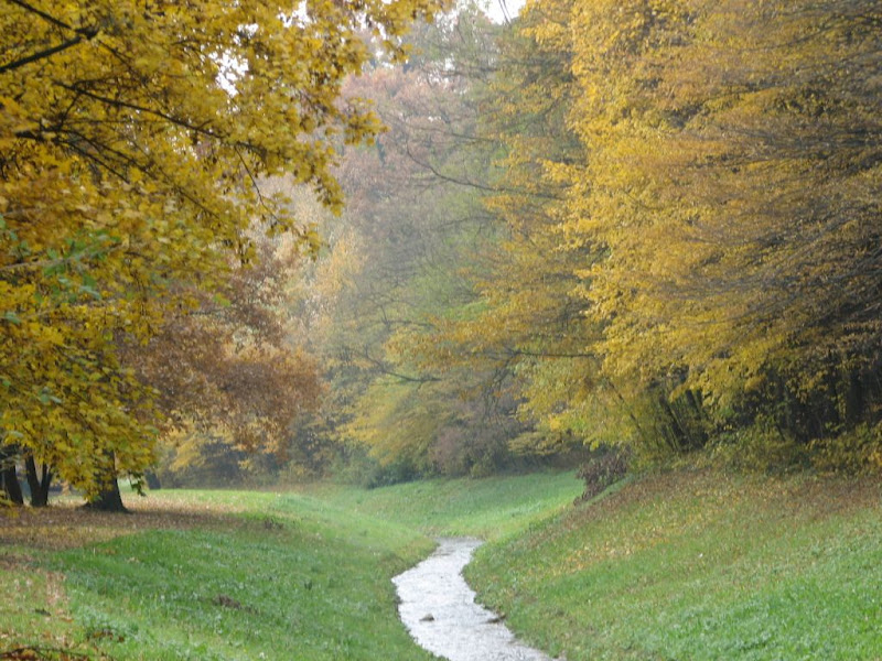 Iščezli potoci (1): Bliznec