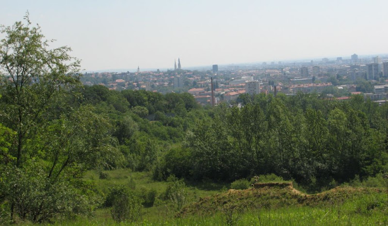 Gospodar Grmoščice