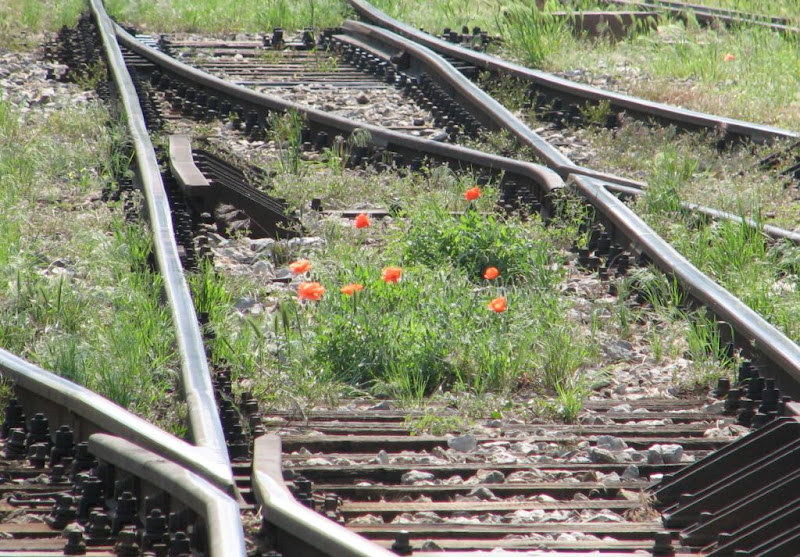 U čeličnome zagrljaju