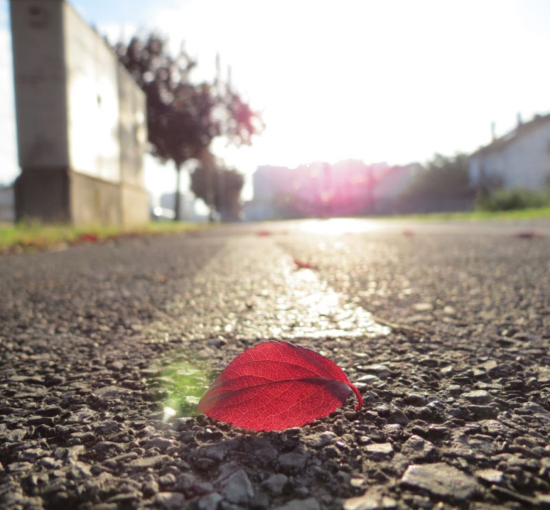 Jesen je u gradu …