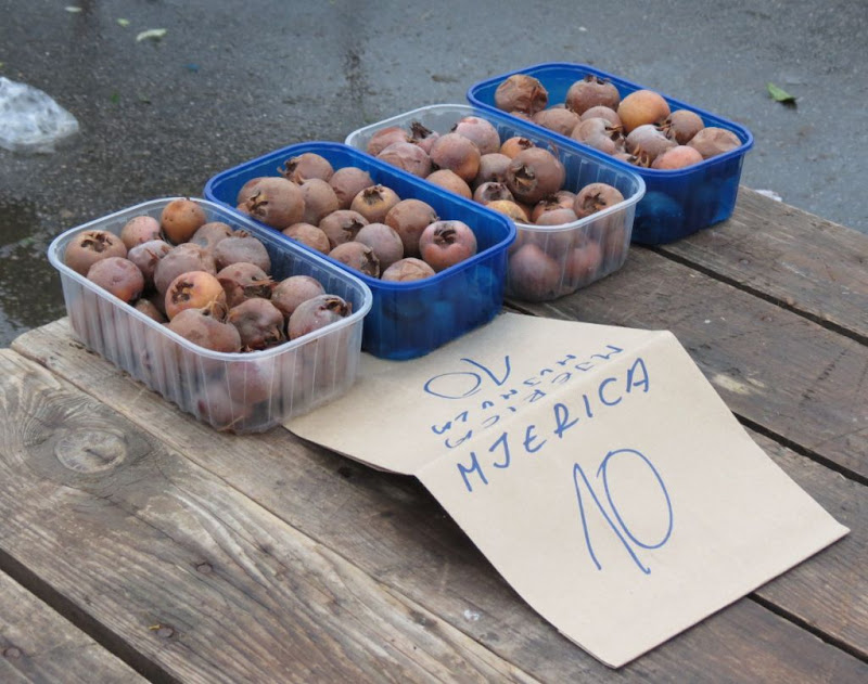 Posljednja vrtna berba za ovu godinu …