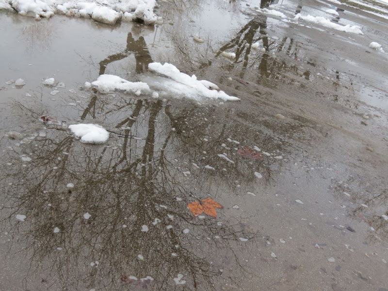 Posljednji list sezone jesen/zima 2012/2013