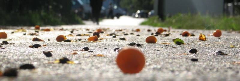 Čekajući sunce, toplinu …