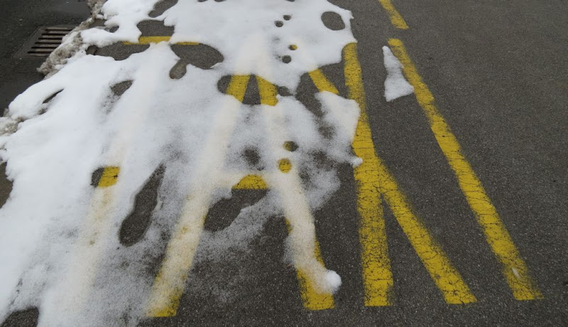 Skrivalica posljednjih snježnih dana