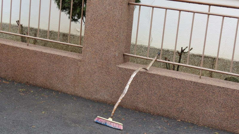 Terminalna životna faza jednog partviša