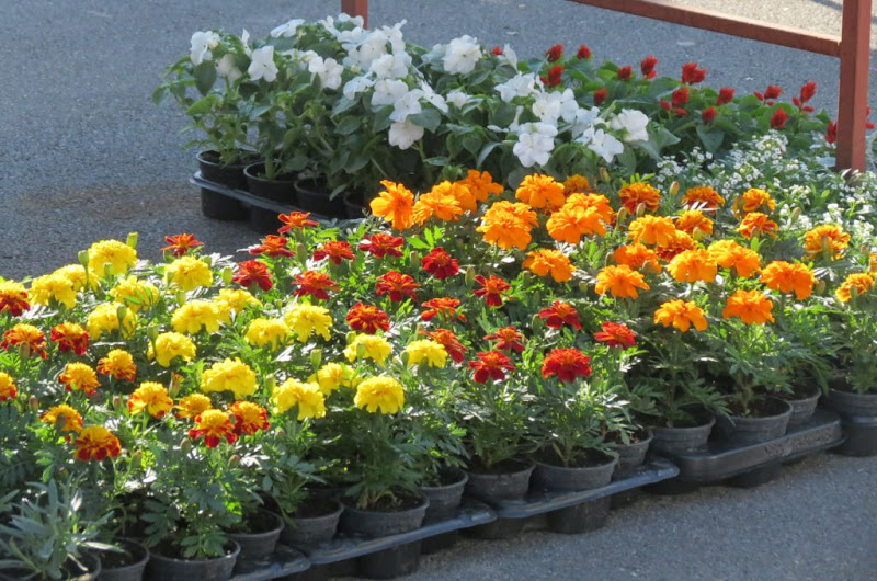 Kreće projekt “Mapiranje Trešnjevke – nevidljivi grad”!