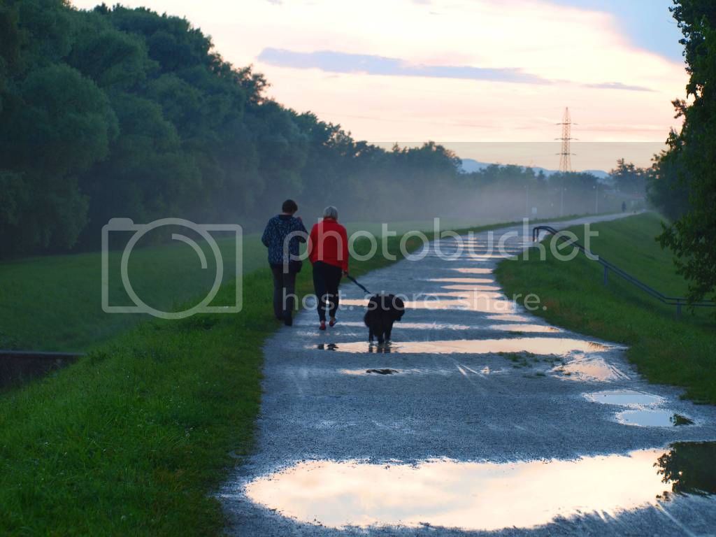 setnja prema magli, ali nisu guske photo 12setnjapremamaglialinisuguskeR_zpsfd7431d2.jpg