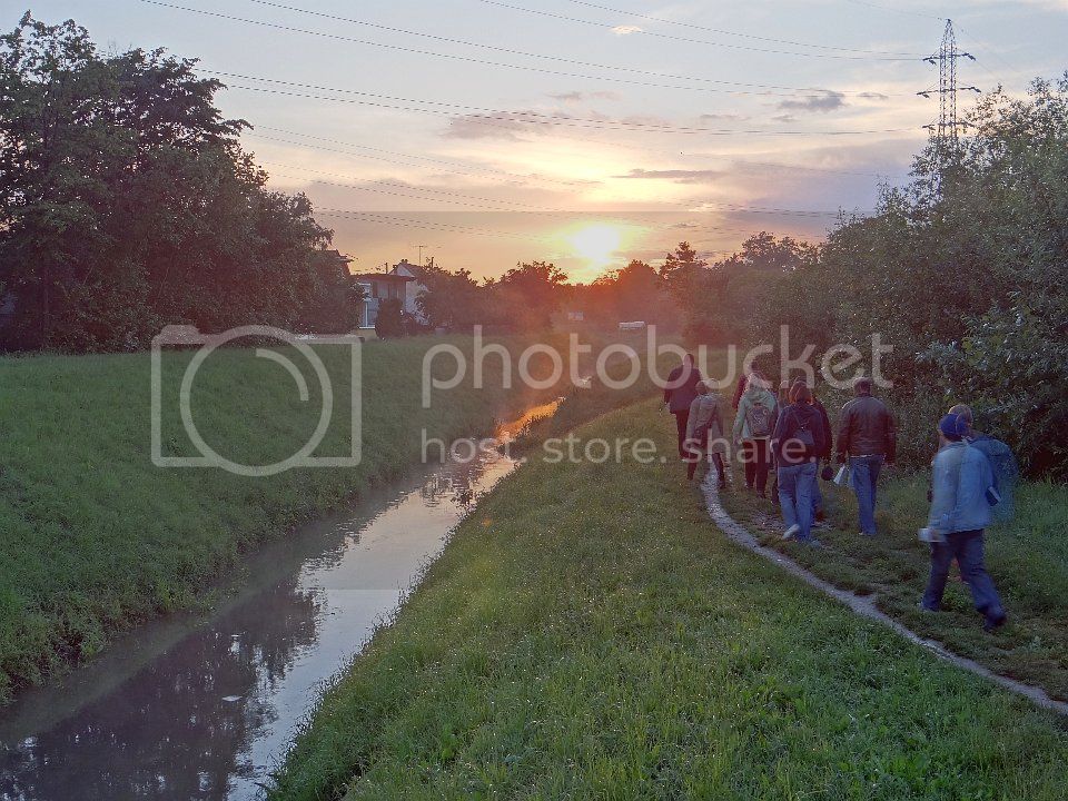  photo 2013-06-06_033_zpsdf258b23.jpg