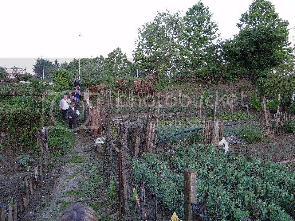  photo 2013-06-06_041_zpsa9f80e59.jpg