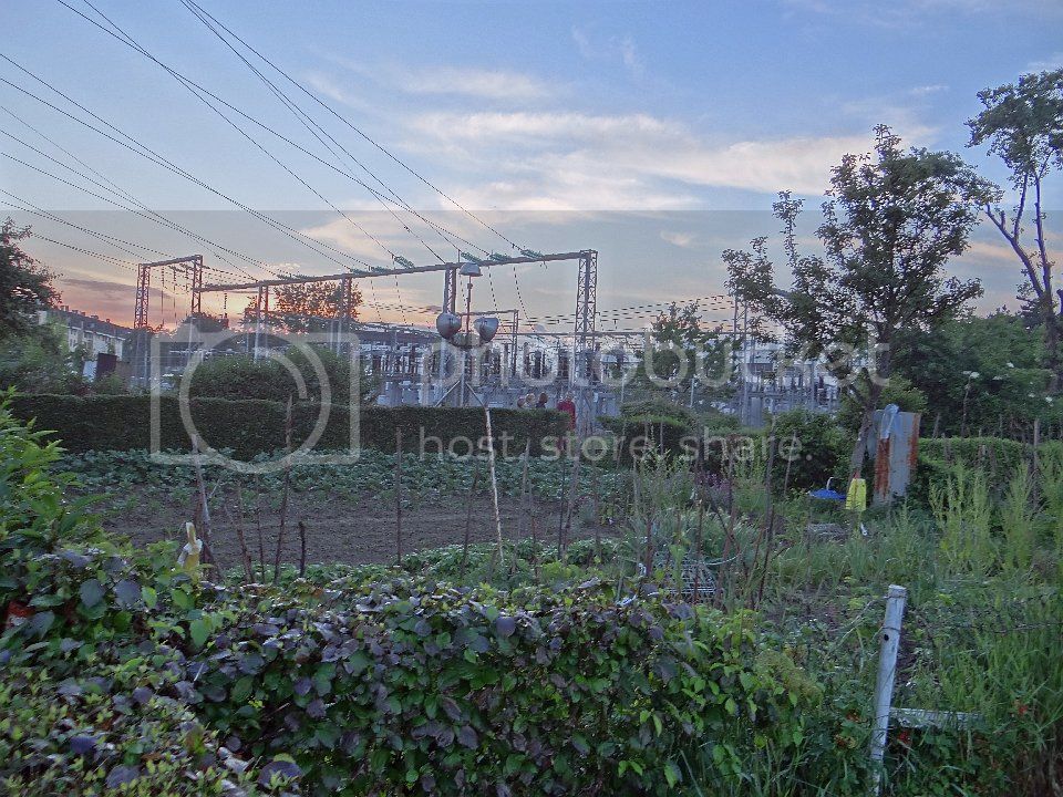  photo 2013-06-06_042_zps93dadb3f.jpg