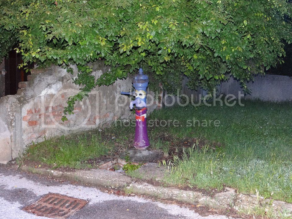  photo 2013-06-06_048_zpsb2c08136.jpg