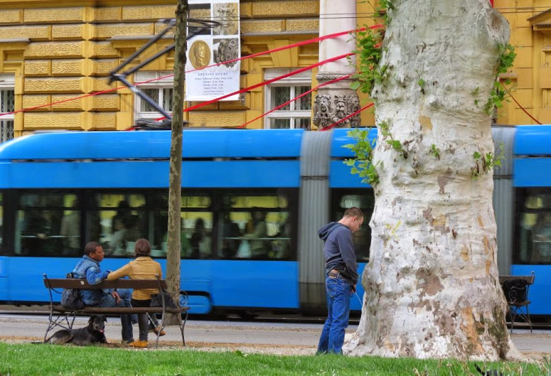 Jadi stare platane …