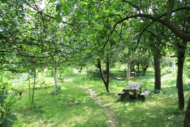 Zagrebački vrtovi (3): Pod policijskom paskom