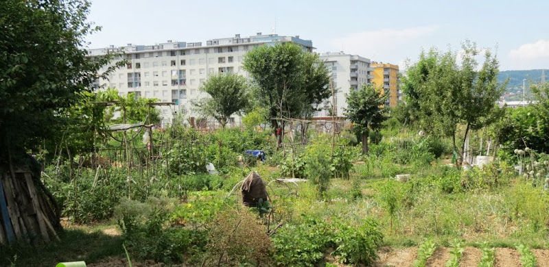 Zagrebački vrtovi (2): Vrt usred stambene džungle
