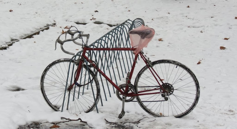 Ružičasti veo guzu čuva!