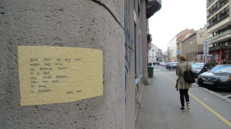 Poezija na zidu: O pupoljcima i ružama