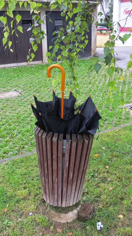 Posljedice globalnog zatopljenja i kišnog ljeta