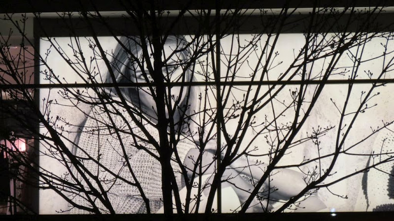 Propušteno kroz prirodni raster …