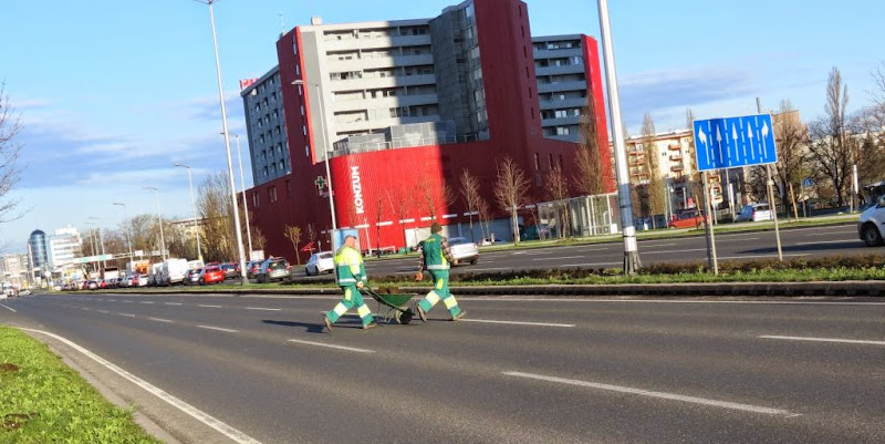 Vrtlarstvo visokog rizika