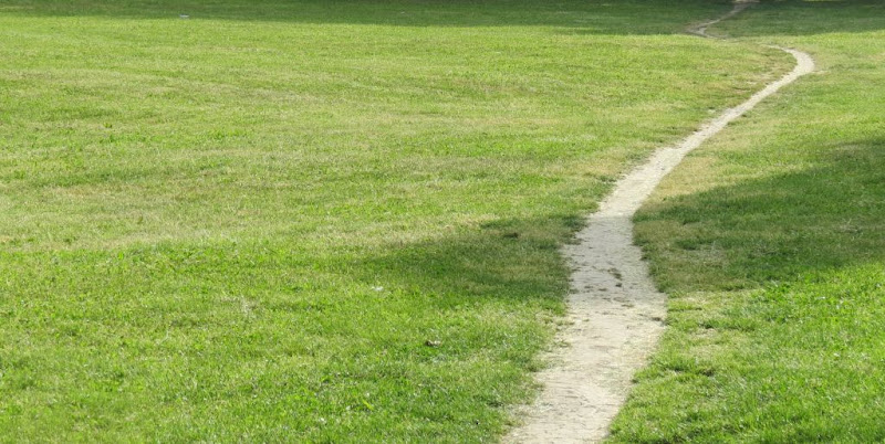 Priroda i Društvo, Društvo i Priroda