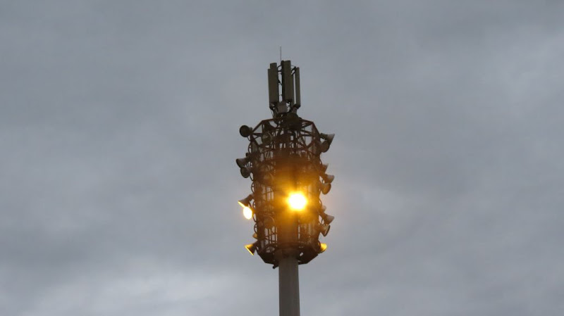 Posljednji pozdravi svjetlosnim gljivama?