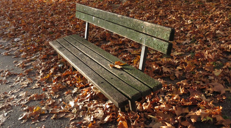 Promatranje života iz VIP lože