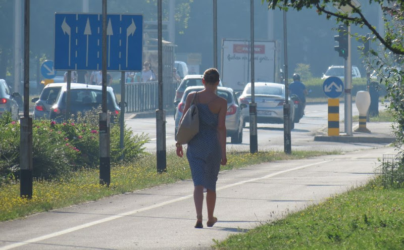 Bogatstvo mogućnosti ili suvišna ograničenja?