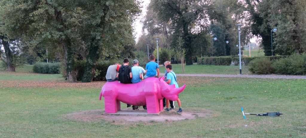 Multifunkcionalni nosorog