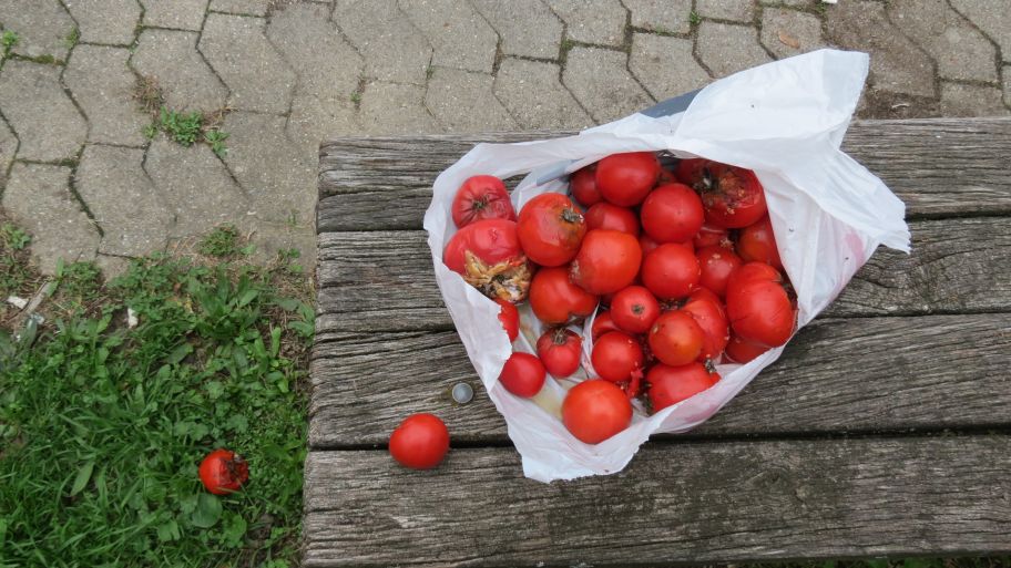 Vječna dilema: Jesen, šarena ili siva?