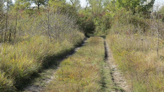 U petak se šećemo Savskom Opatovinom!