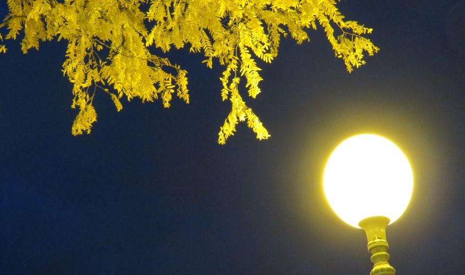 Još dvije dimenzije jeseni