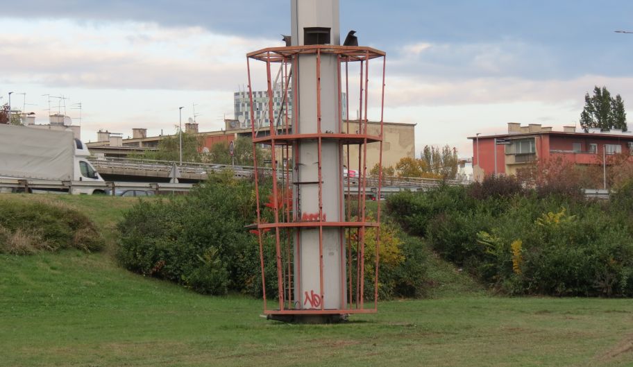 Petlja i njene “gljive”: Još malo pa nestalo …