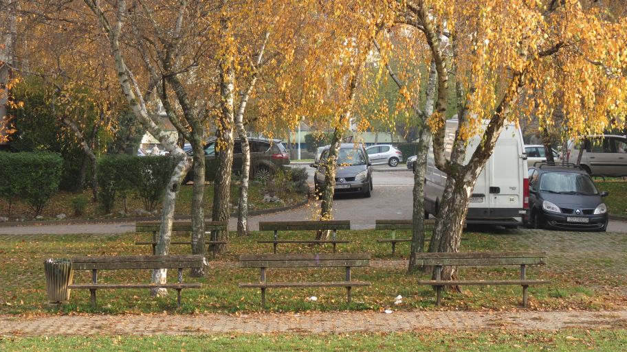 Počasne tribine (u hladu breza) …