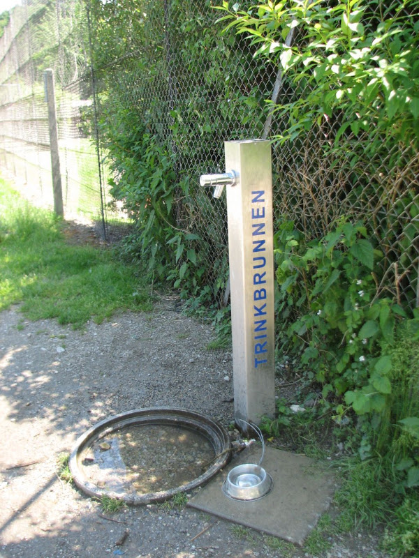 Pitka voda ponovo na Jelačić placu!