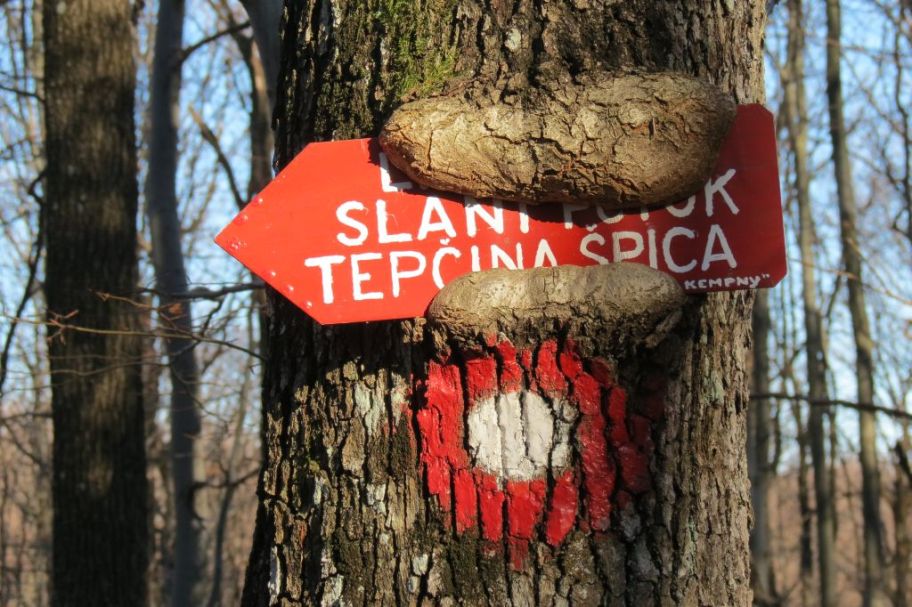 Rast očito nije moguće zaustaviti …