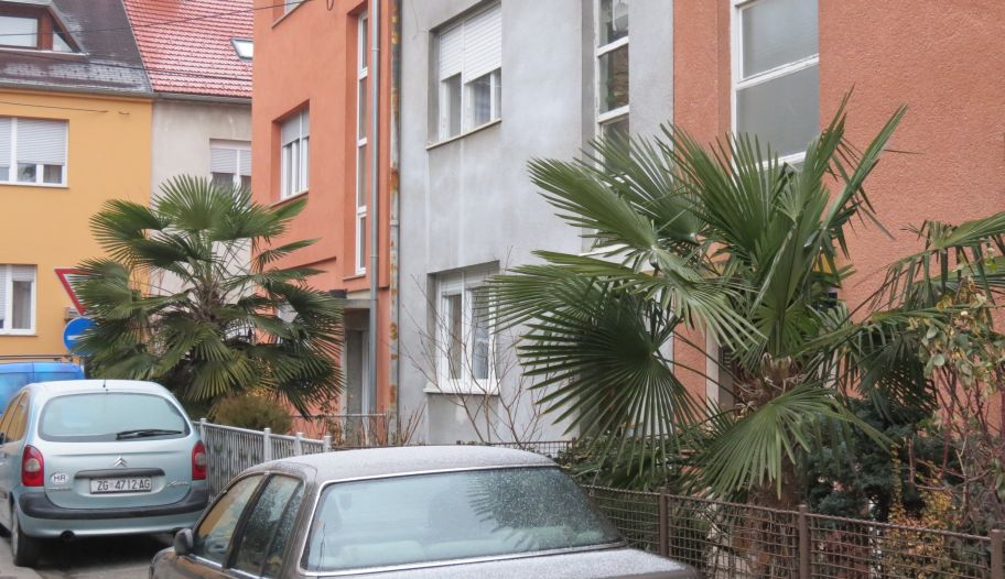 Trešnjevačka ulica palmi