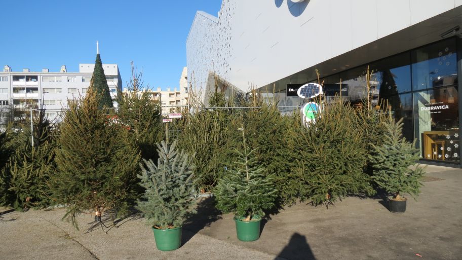 Pronađite uljeza …