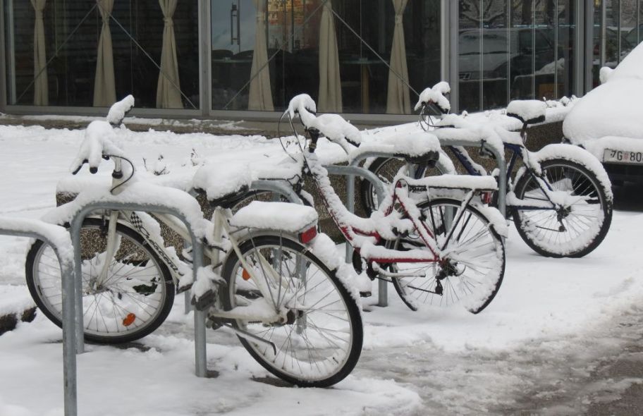 Vozni park u stanju mirovanja