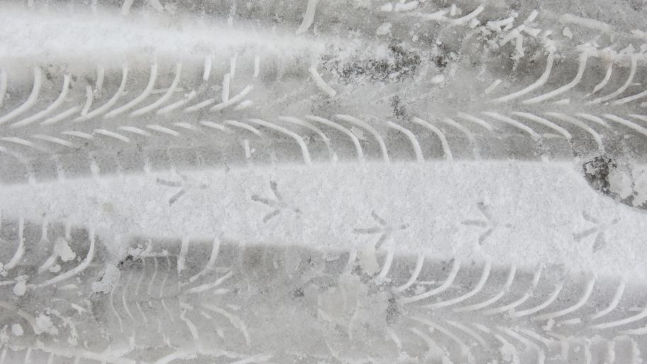 Zimski restlovi (2): Ptičja šetuckanja po bijelim pistama