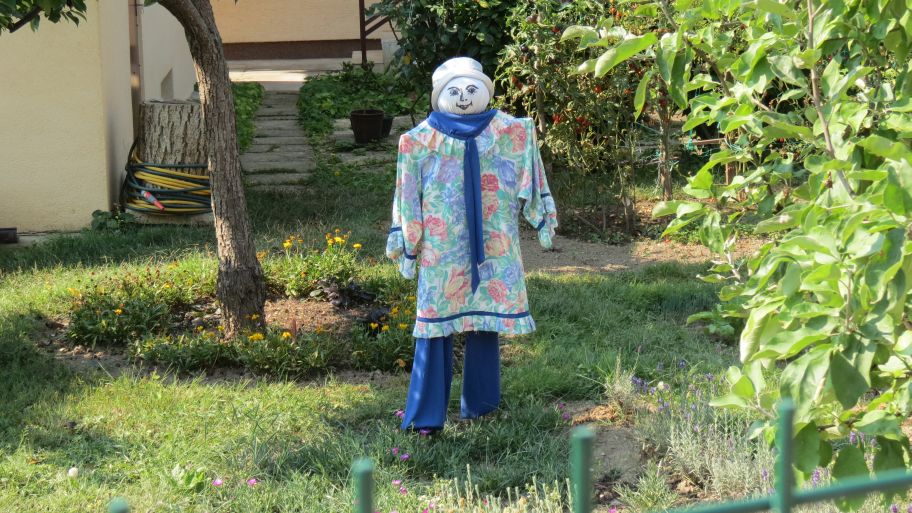 Povratak u djetinjstvo