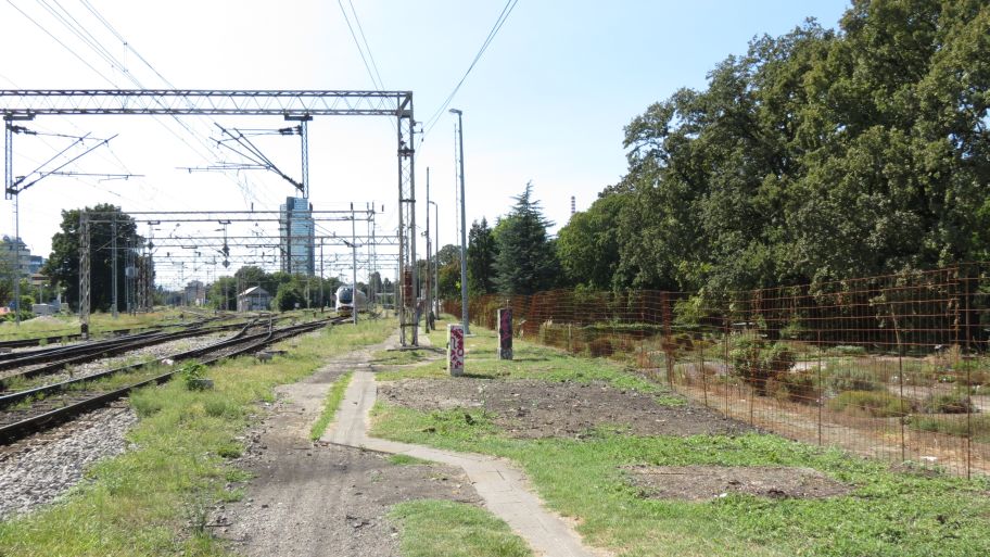 Borovi umjesto prvomajskih klinčeka