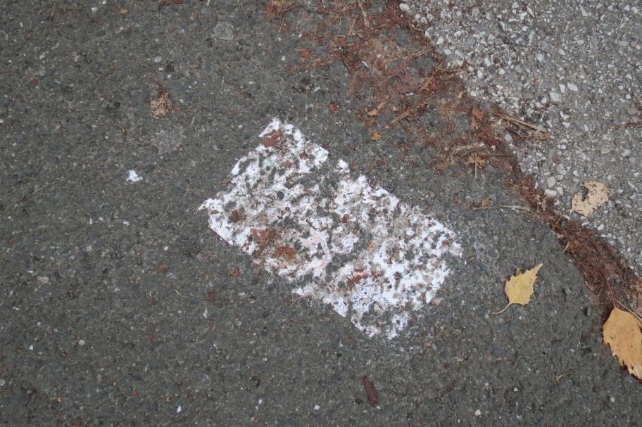 Kada priroda kašira