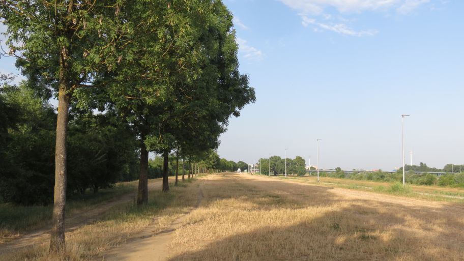 Ljeto u gradu: Savski nasip
